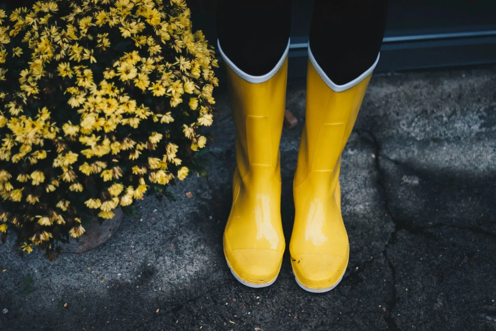 Waterproof Boots or Shoes: Which Do You Need?